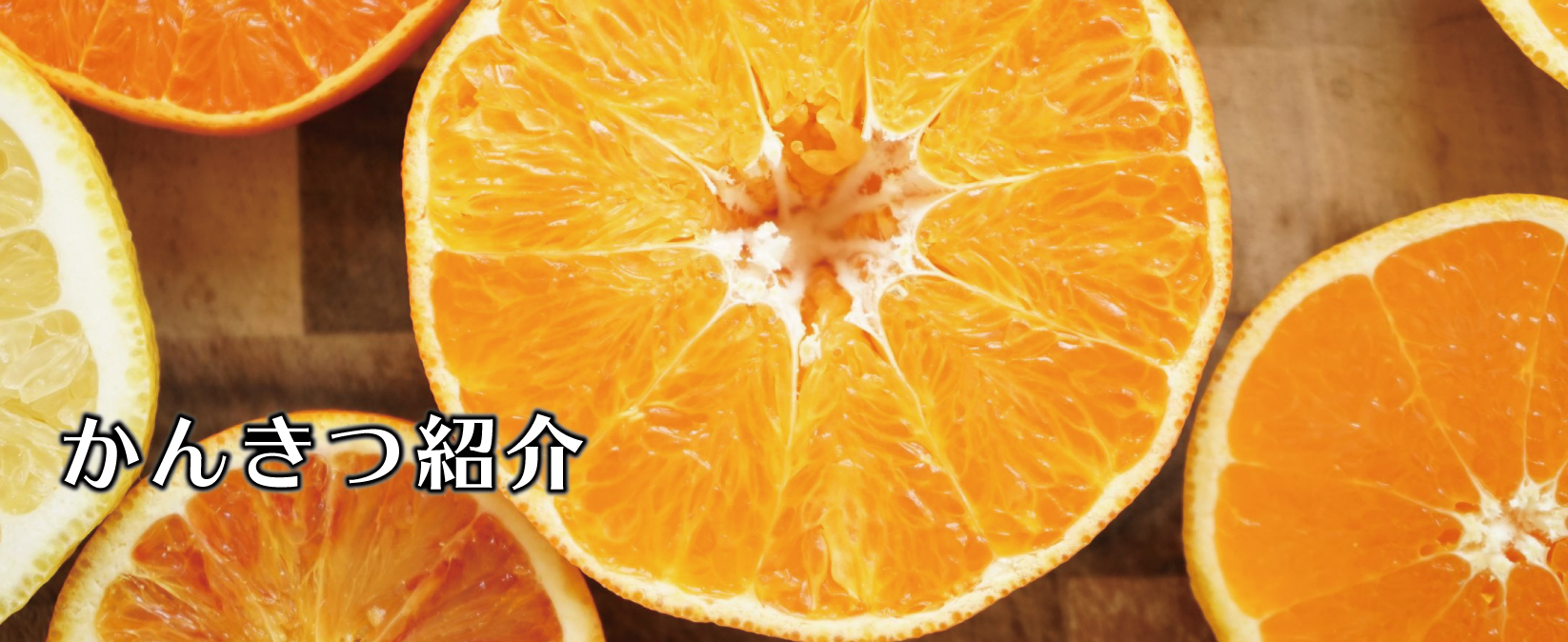 柑橘紹介
